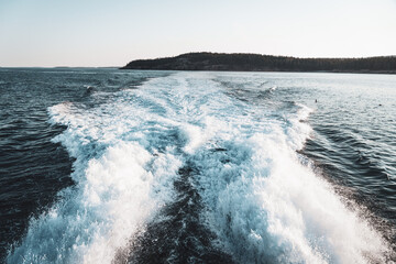 waves in the ocean 