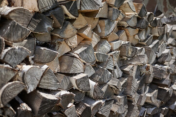 Birch firewood for cooking meat on the fire