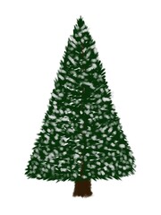 Snow-Covered Christmas Tree with Green Foliage.  Illustration of a Winter Forest Tree on a White Background, Perfect for Holiday Projects and Decor