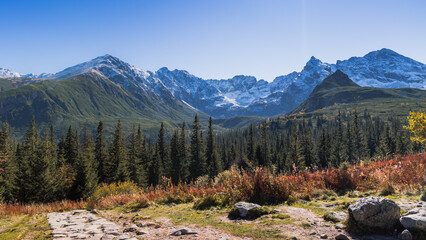Fototapeta premium Panorama Hali Gąsienicowej