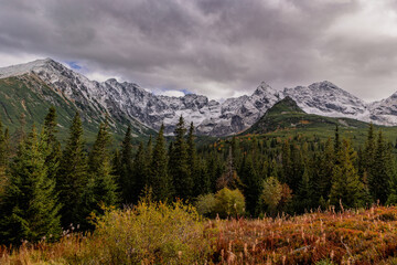 Hala gąsienicowa w chmurach