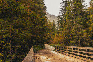 Chochołowska Valley