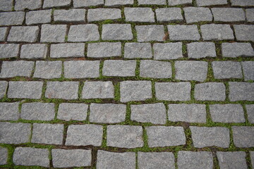 Paving stones on the road with grass between the tiles