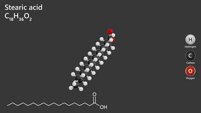 Stearic Acid. Animated 3D model of a molecule. Molecular formula: C18H36O2. Chemical model: Ball and sticks. Gray background. 3D rendering. Seamless loop.