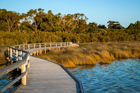 Wooden boardwalk and thrombolites at Lake Clifton