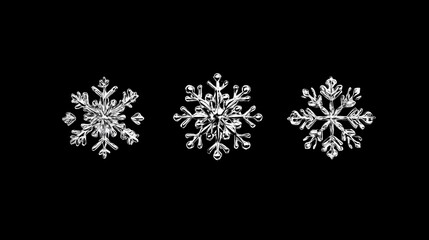 Vector Snowflake Icons and Winter Snowflake Designs