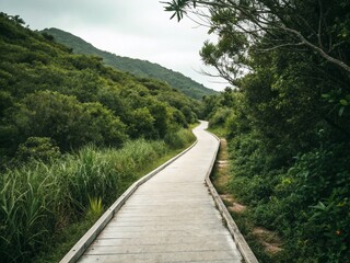 Obraz premium Serene Minimalist Walkway Surrounded by Nature’s Beauty – A Tranquil Pathway for Reflection and Peaceful Strolls in a Lush Green Environment