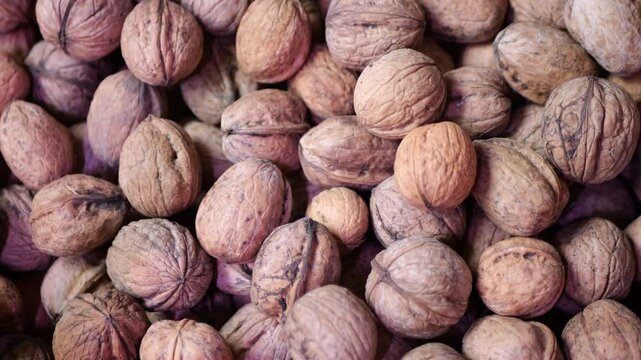 walnuts close-up fresh harvest nuts in shell