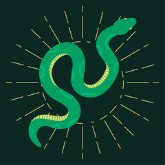 Snake on the background of the sun
