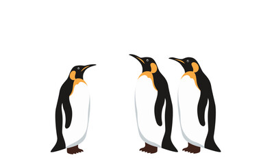 Emperor Penguin Chick Cute Bird Winter Set Cartoon Vector