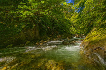 Obraz premium 笛吹川の流れ