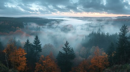 Misty autumn forest landscape with golden trees.