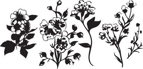 Set Flowers. Hand drawn vector illustration