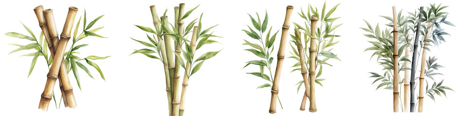 Naklejka premium Beautifully rendered watercolor painting of vibrant green bamboo stems shoots and leaves in a lush natural landscape setting The organic