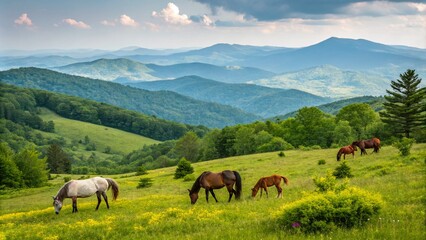 Vibrant Landscape of Mares and Foals Grazing at Grayson Highlands State Park in Virginia, Showcasing the Beauty of Nature and Wildlife in a Colorful Scenic Setting
