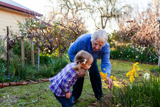 Senior woman with her granddaughter in the garden