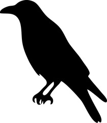 Fototapeta premium silhouette of a crow