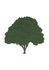 illustration trees with texture