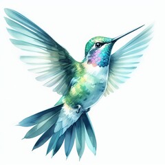 Hummingbird in Flight Watercolor A delicate detailed watercolor