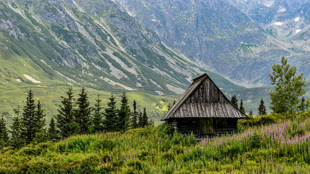 Shepherd's hut on Hala Gąsienicowa in Polish Tatra