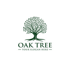 Oak tree logo template vector illustration