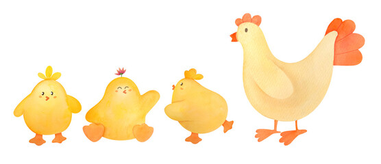 Baby chicks and chicken set, cute funny animals collection, spring watercolor hand drawn illustration of yellow chicken isolated on transparent background. clip art and cut out element design