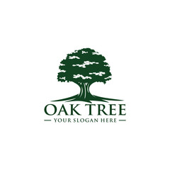 Obraz premium Oak tree logo template vector illustration