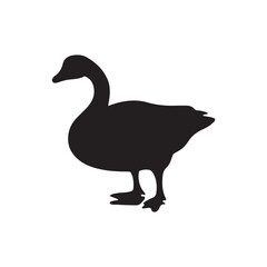 goose isolated on white, Black silhouette of goose. Isolated image of farm bird. Domestic amimal icon. Isolated image