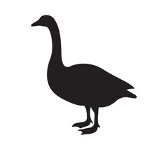 goose isolated on white, Black silhouette of goose. Isolated image of farm bird. Domestic amimal icon. Isolated image