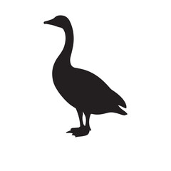 goose isolated on white, Black silhouette of goose. Isolated image of farm bird. Domestic amimal icon. Isolated image