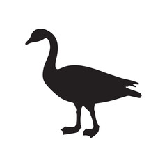goose isolated on white, Black silhouette of goose. Isolated image of farm bird. Domestic amimal icon. Isolated image