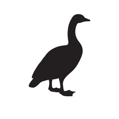 goose isolated on white, Black silhouette of goose. Isolated image of farm bird. Domestic amimal icon. Isolated image