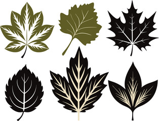 Vector Silhouette Summer Icon Set of Different Maple Leaves on White Background
