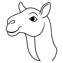 Camel head vector line art illustration