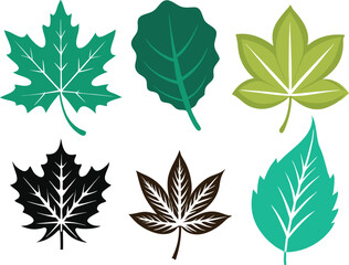 Vector Silhouette Summer Icon Set of Different Maple Leaves on White Background