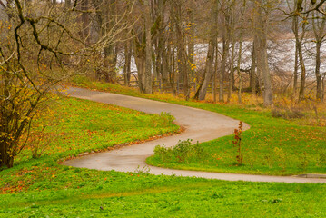 Winding path in autumn park