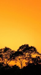 Fototapeta premium Silhouette of trees against a vibrant orange sunset background.