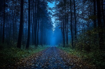 Fototapeta premium Mysterious Forest Path at Dusk
