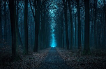 Obraz premium Mysterious Forest Path with Eerie Blue Light