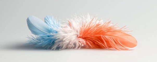 A colorful arrangement of feathers featuring shades of blue, white, and orange, set against a neutral background, emphasizing texture and vibrant hues.