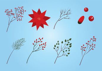 Set of decorative vector winter floral elements. Christmas and new year design kit