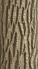 Obraz premium Close-up of textured tree bark showcasing natural patterns and colors.