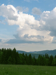 202405_Poland - Nowica, Gorlicie - nature landscape in the bucolic countryside of Gorlicie, forests in the meadows, with the Tatras Mountains in the background