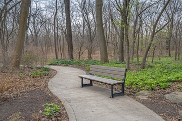 A serene park scene featuring a bench along a winding path in a wooded area.