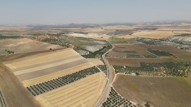 Imagens a&eacute;reas capturadas por drone das terras agr&iacute;colas da Andaluzia, revelando os impactos da escassez de &aacute;gua na regi&atilde;o. O v&iacute;deo ou foto mostra vastas &aacute;reas de campos secos, com solo rachado e cult