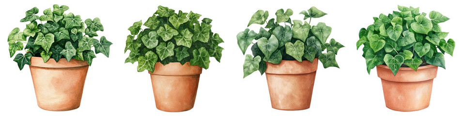 Fototapeta premium Lush cascading ivy plant potted in a terracotta container Vibrant green foliage creates a beautiful natural botanical decor element for home office or commercial interior design and styling