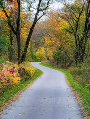 Fototapeta premium A winding path through a colorful autumn forest with vibrant foliage.