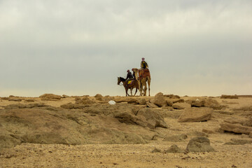 Karawana na pustyni. Egipt. Marsa Alam.  © wojwarm