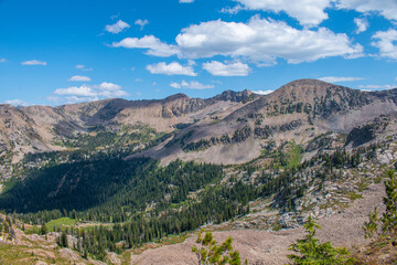 Naklejka premium Targhee National Forest from summit of Table Mountain