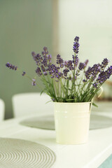 Lavender flowers in a vase, minimal still life. Interior of modern room with. copy space.